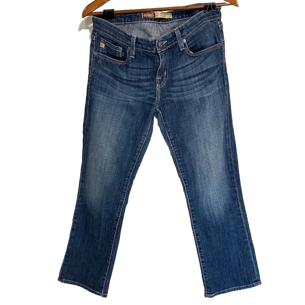 Big Star Jeans Womens 29 Blue Denim Rikki Low Rise Stretch Straight Faded